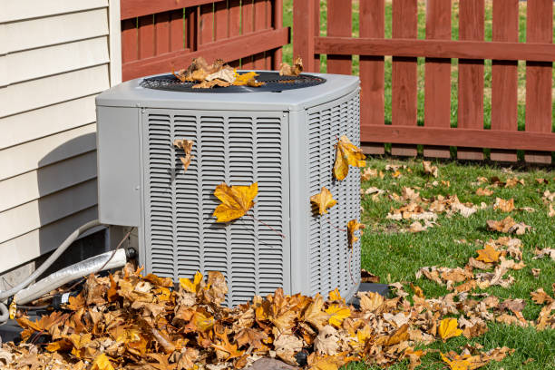 Best Energy-efficient HVAC Solutions in Momence, IL